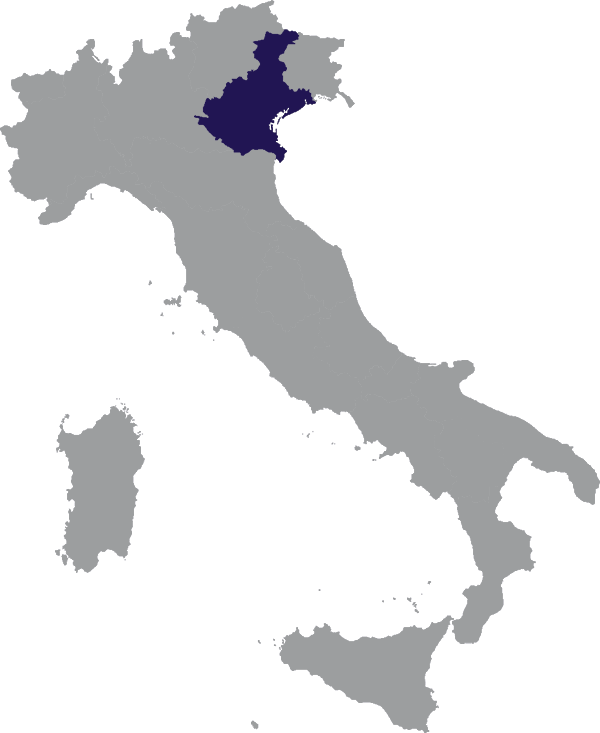 Landkaart Italië grijs met regio Veneto donkerblauw op transparante achtergrond - 600 * 733 pixels